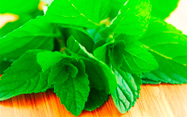 Eucalyptus & Spearmint