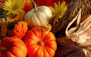 Fall Harvest